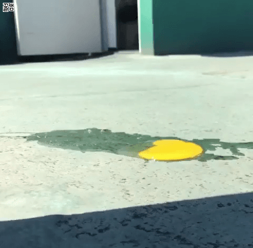 [움짤] 뜨거운 옥상에 계란을 풀면 어떻게 될까 | 인스티즈