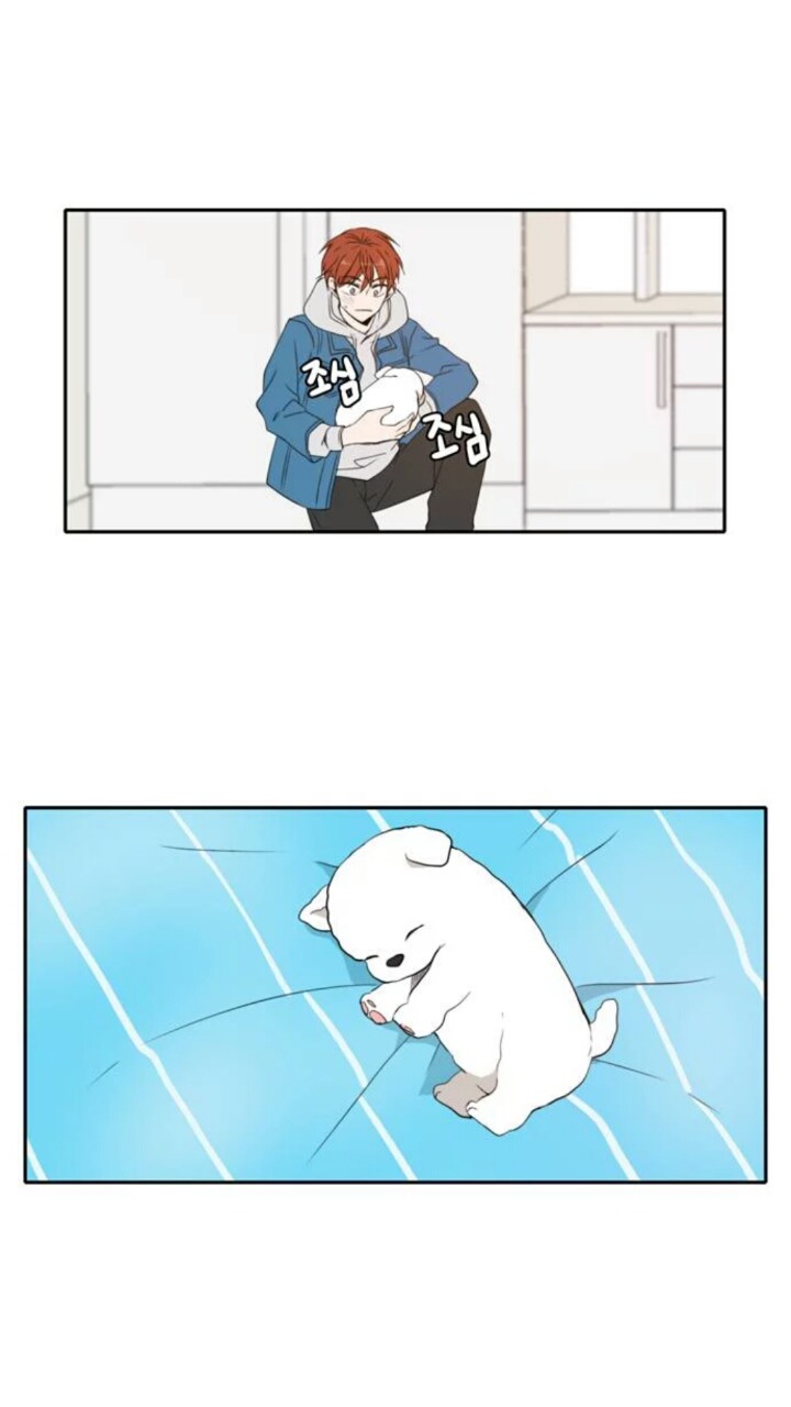 오늘도 사랑스럽개 진쌤vs최율 (웹툰) | 인스티즈