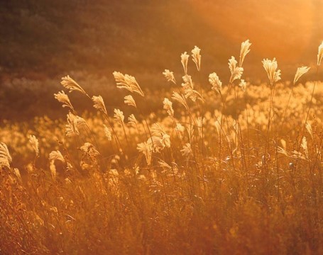 ??? "여러분 이거 다~ | 인스티즈
