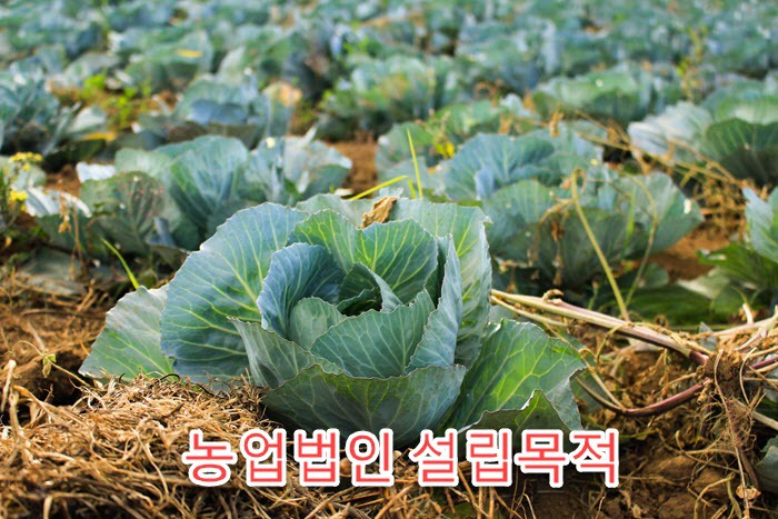 행정사법인부산 이미지