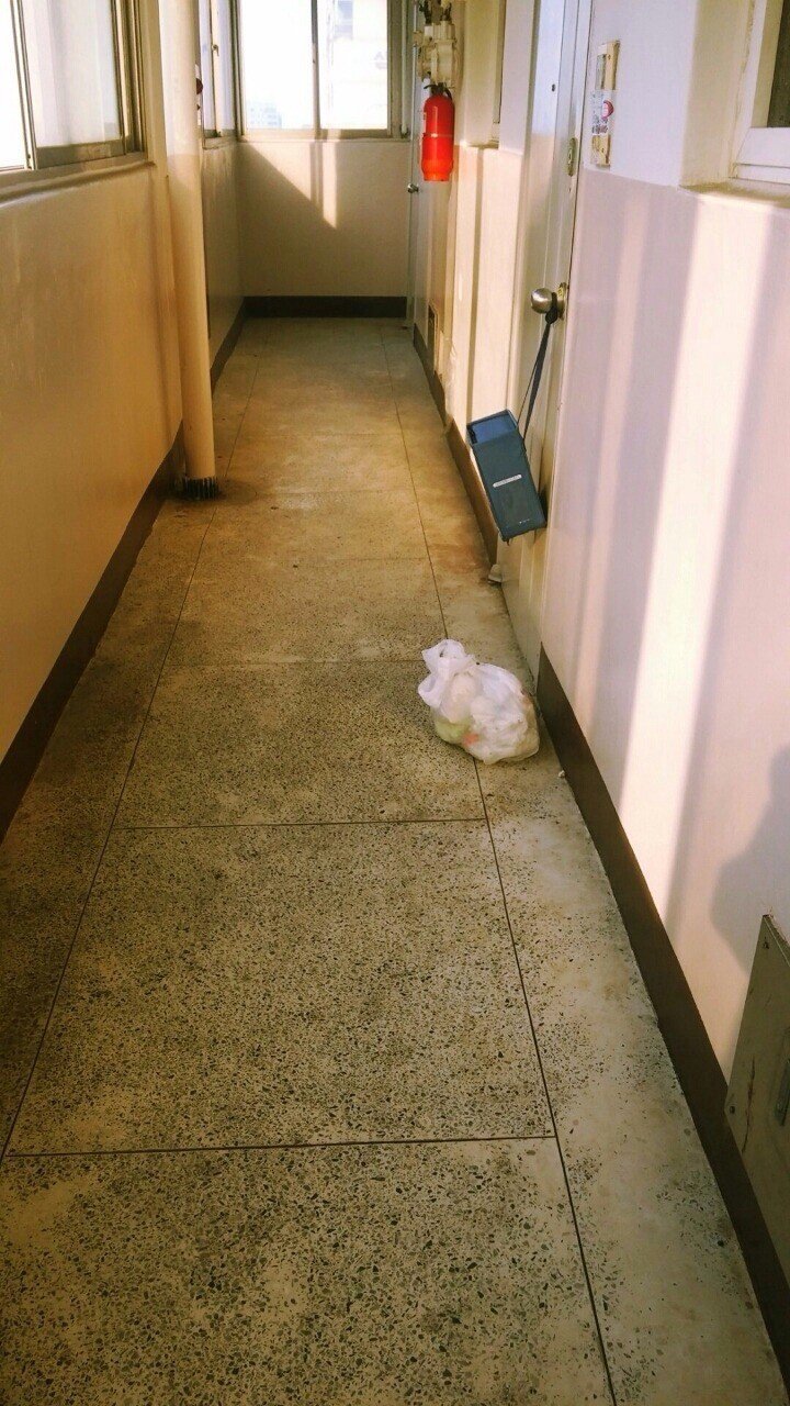 복도에다 누가 강아지버림 | 인스티즈