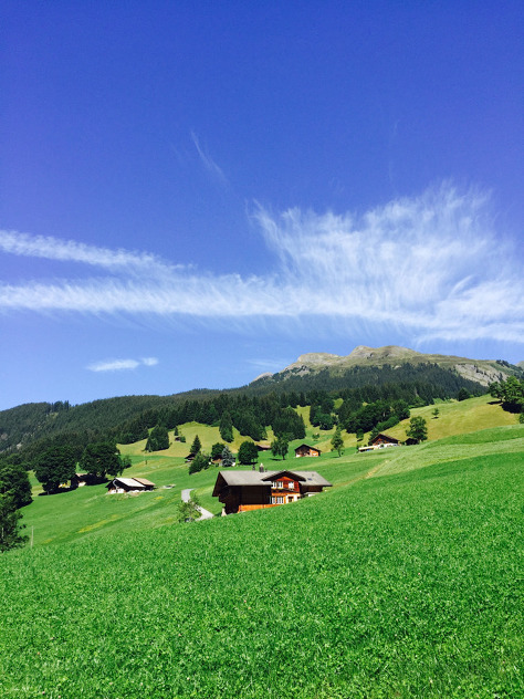 스위스에 한번 갔다오면 절대 잊지 못하는 이유. jpg | 인스티즈