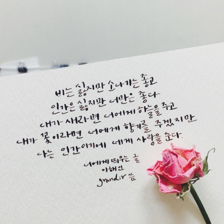 p8 이미지