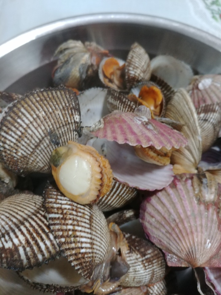 백합 이미지