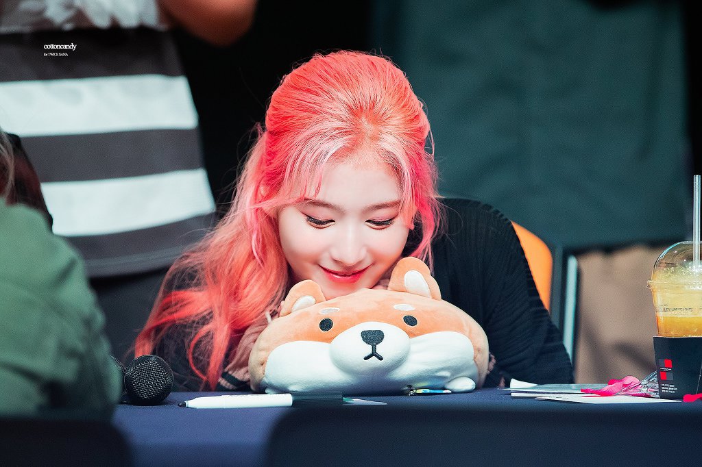 오늘이 생일인 트와이스 사나.jpgif (335장) | 인스티즈
