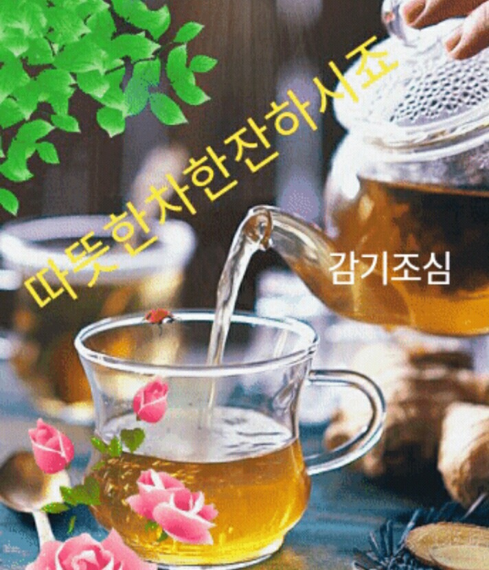 연영 이미지