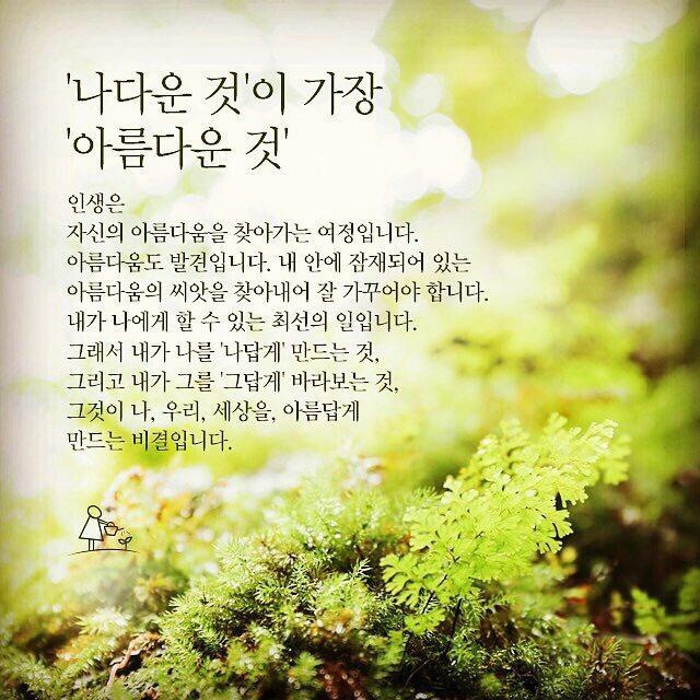 단풍이야기 이미지