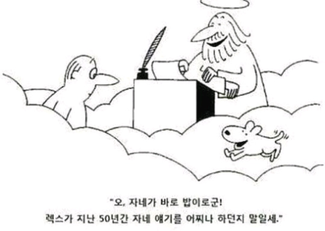 [고르기] 내가 원하는 사후세계의 모습은? | 인스티즈