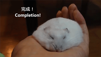 잠자는 햄토리들 | 인스티즈