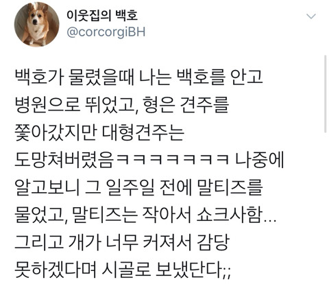 댕댕이의 고정픽은 동물병원 원장님 | 인스티즈