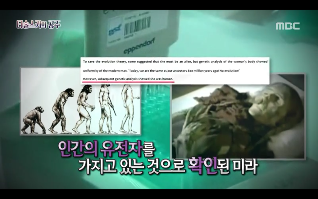 석관 안에서 발견된 8억 년 전의 미라 미스터리, 신비한TV 서프라이즈 '티술스키의 공주' | 인스티즈