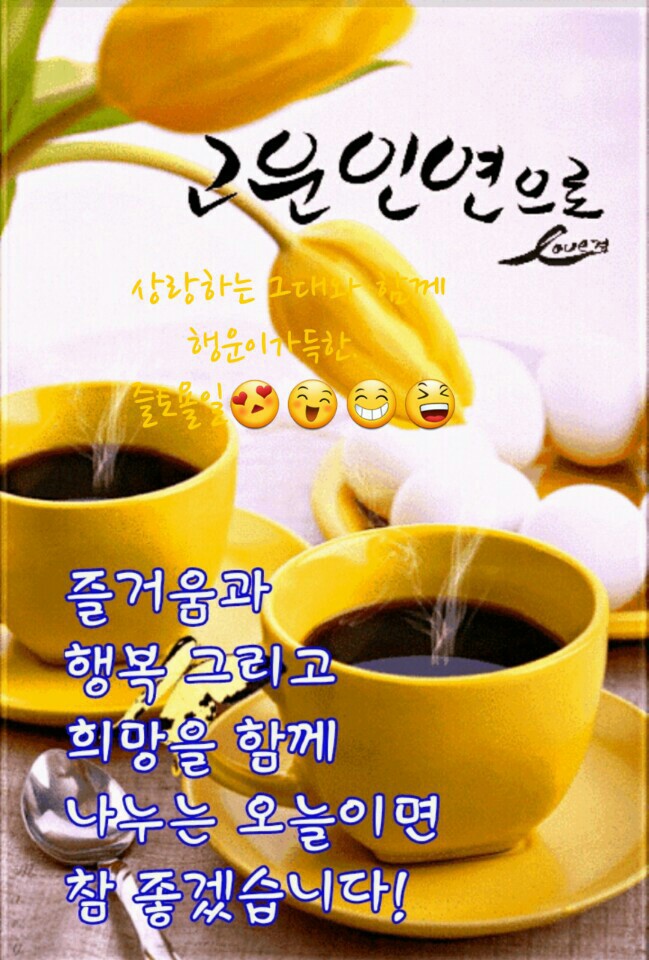 가을국화 이미지