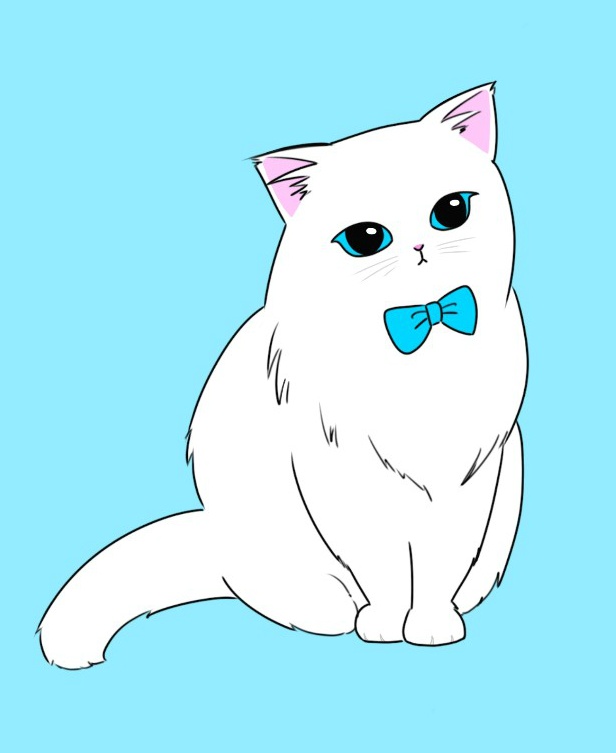코코부엉이 이미지