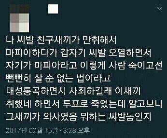 새벽인데 다들 유우머 보고 웃고 가쇼 | 인스티즈