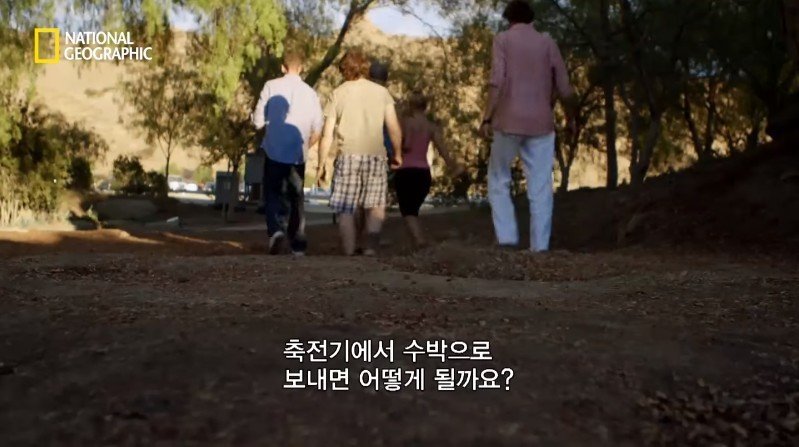 수박 안에 1만 볼트를 내보내면 생기는 일 | 인스티즈