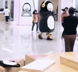 실버버튼 자랑하는 펭수.gif | 인스티즈
