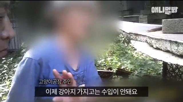 고양이 공장도 없애야됨 | 인스티즈