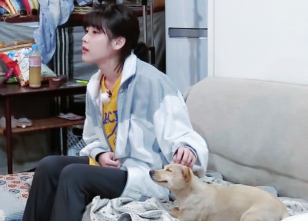 [효리네민박] 모카의 변화.gif (아이유 있긔) | 인스티즈