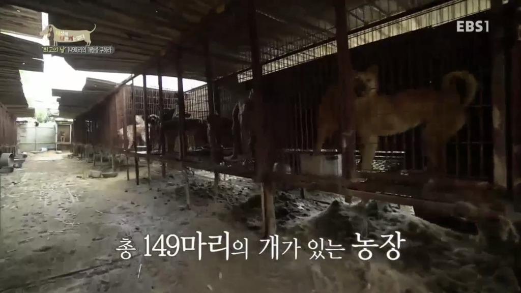 어떻게 사람을 그렇게 좋아할 수 있죠? | 인스티즈