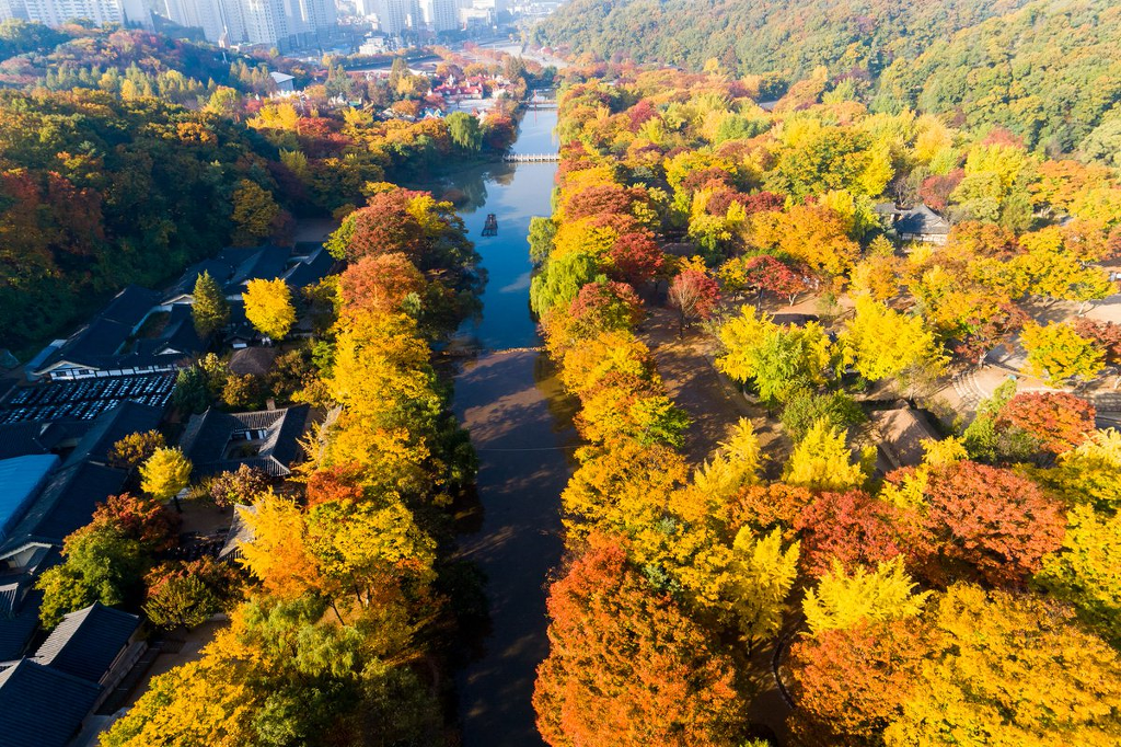 드론으로 촬영한 한국의 가을 | 인스티즈