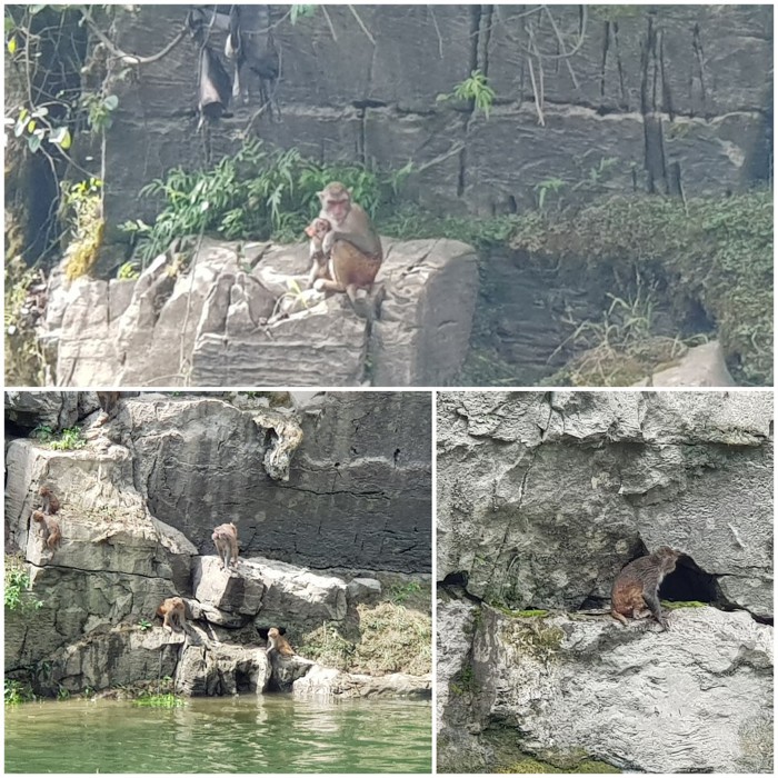 수하 이미지