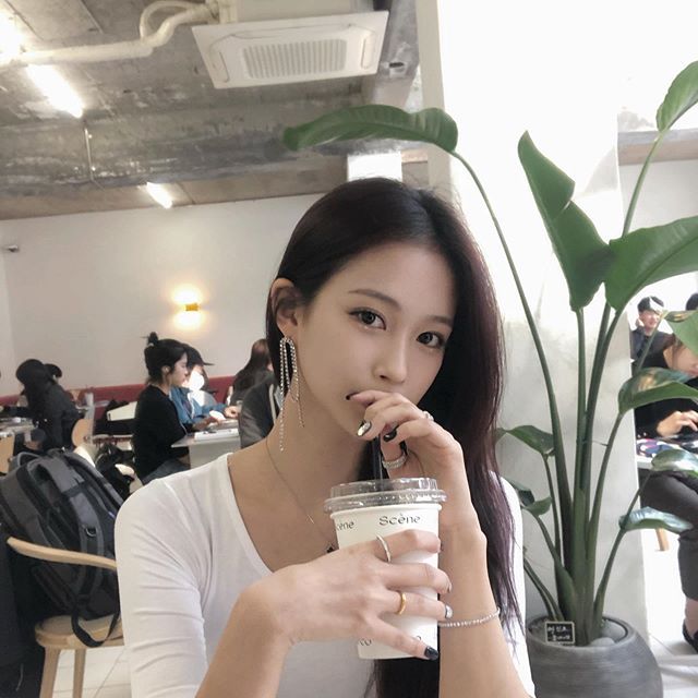 트위치 넘사 닥 1티어 스트리머 .jpg | 인스티즈