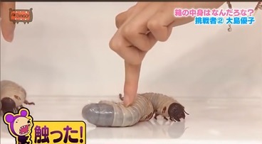 히든박스로 보는 한국과 일본의 차이 .gif | 인스티즈