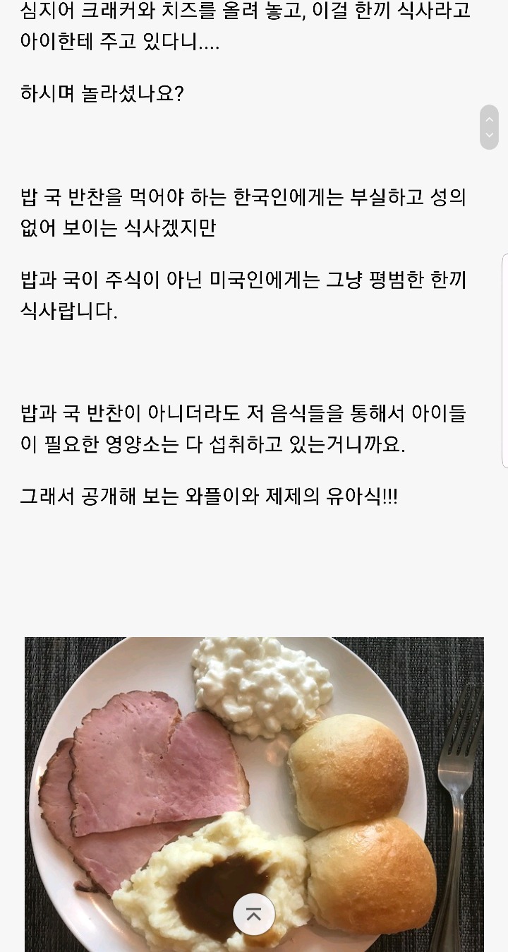 한국인 친구가 보고 놀란 미국 아기들의 유아식 | 인스티즈