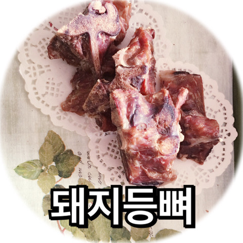 쫑아네 이미지