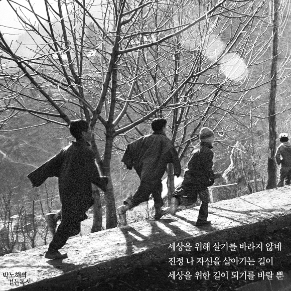 콩밭에 이미지