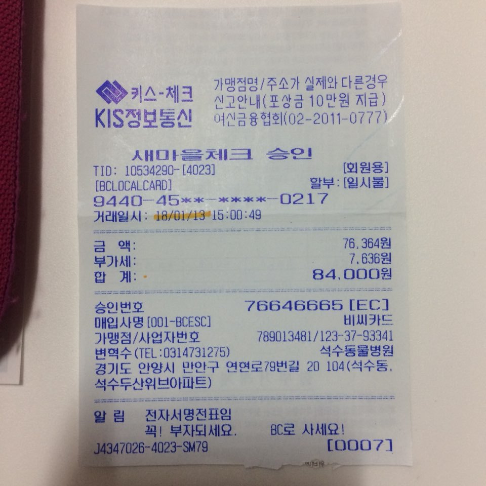 박스안에서 버려진채 떨고있던 고양이 쿠키를 도와주세요! +따뜻한 가족이되어줄 입양처를 찾습니다! | 인스티즈