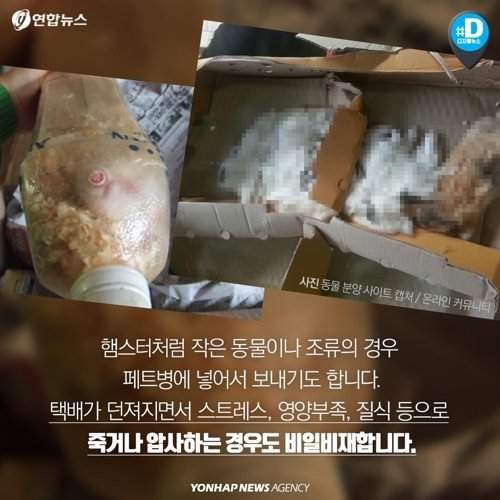 택배 상자 안에서 죽어가는 반려동물들 | 인스티즈