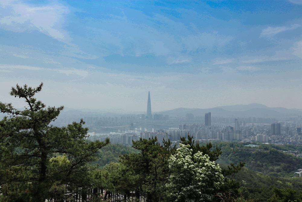 티월 이미지