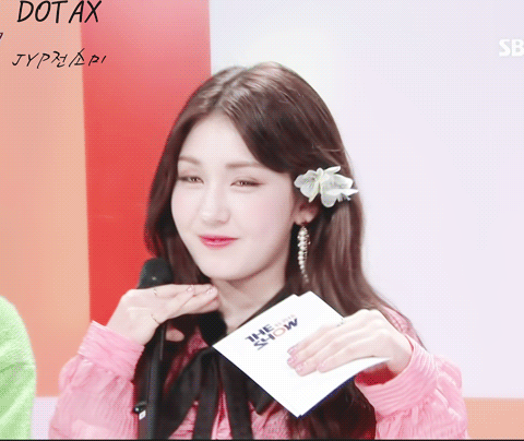 매일 와서 고양이만나고 돌아가는 사슴.JPG | 인스티즈