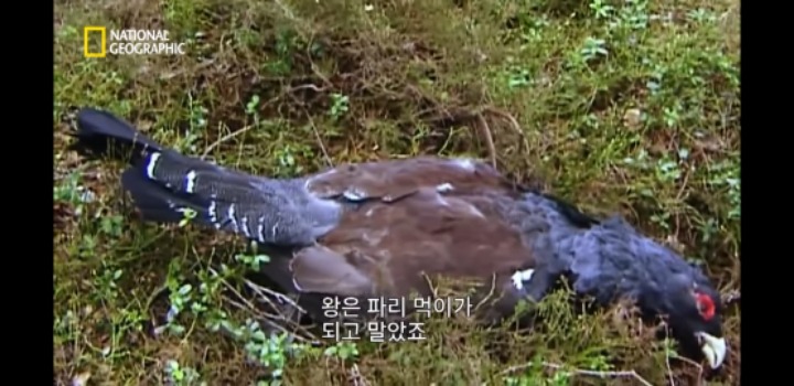 분노조절을 잘 해야하는 이유 | 인스티즈