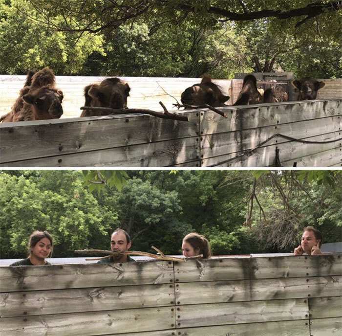 동물들을 이해하기 위해 가까워지려는 사육사들.jpg | 인스티즈