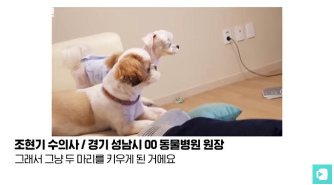 폭염 속 버려진 똘똘이가 모니로 개명한 사연 | 인스티즈