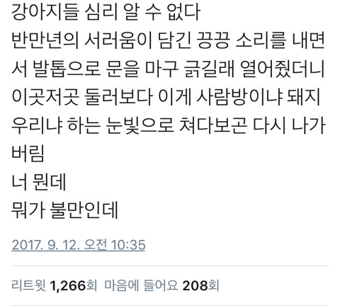 강아지들 심리를 알 수가 없다.twt | 인스티즈