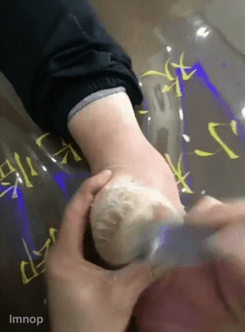보기만 해도 시원한 움짤 | 인스티즈
