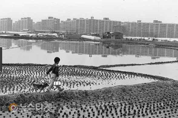 1970~80년대 서울 강남 사진.jpg | 인스티즈