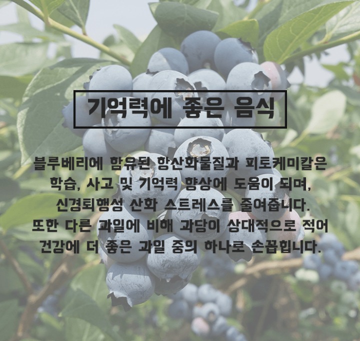 기억력에 좋은 음식들 | 인스티즈