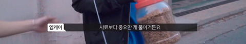 망원동 고양이 밥을 책임지고 있는 아이돌 | 인스티즈
