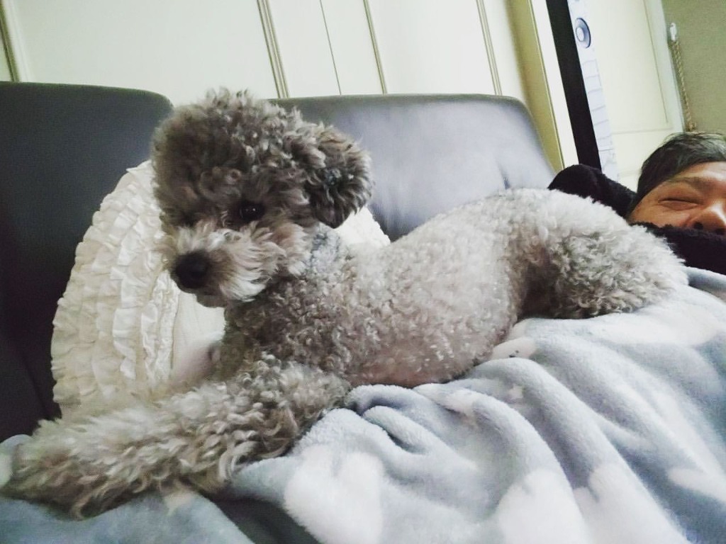 998CFF335E74DF7702D245