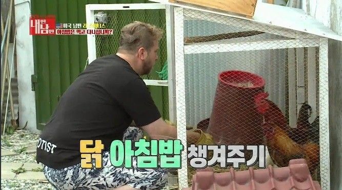 미국 남편 VS 한국 마누라 | 인스티즈