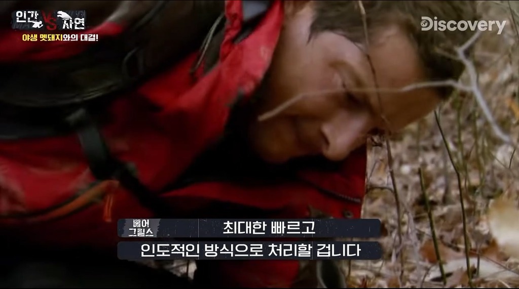 돼지 사냥하는 베어그릴스.gif | 인스티즈
