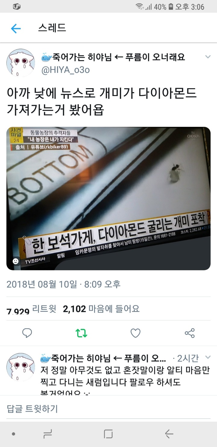 다이아몬드 훔치는 개미.twt | 인스티즈