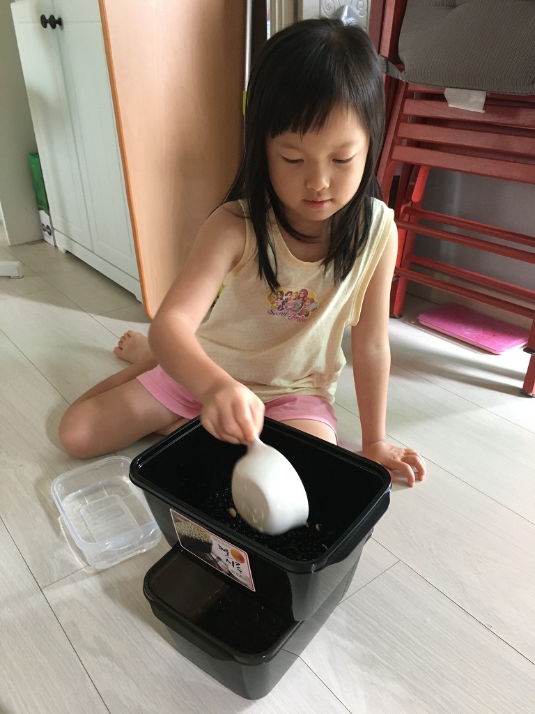 성진콩나물 이미지