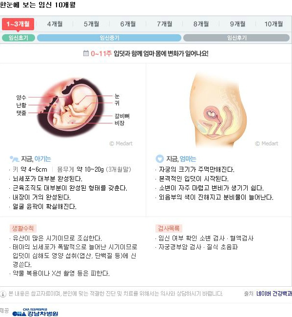 10달동안 무슨 변화가 일어나는걸까?: 임신 알아보기 | 인스티즈