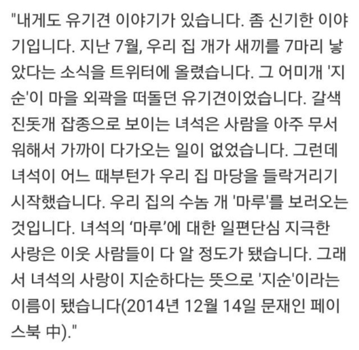 자연과 모든 동식물을 사랑하시는 문재인 대통령 일화 | 인스티즈