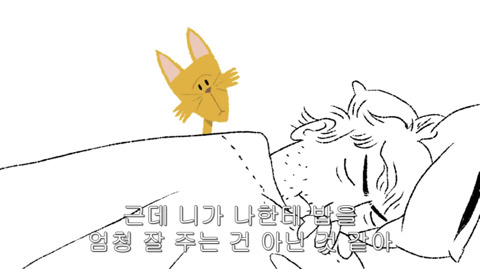 [동물] 고양이의 속마음 | 인스티즈